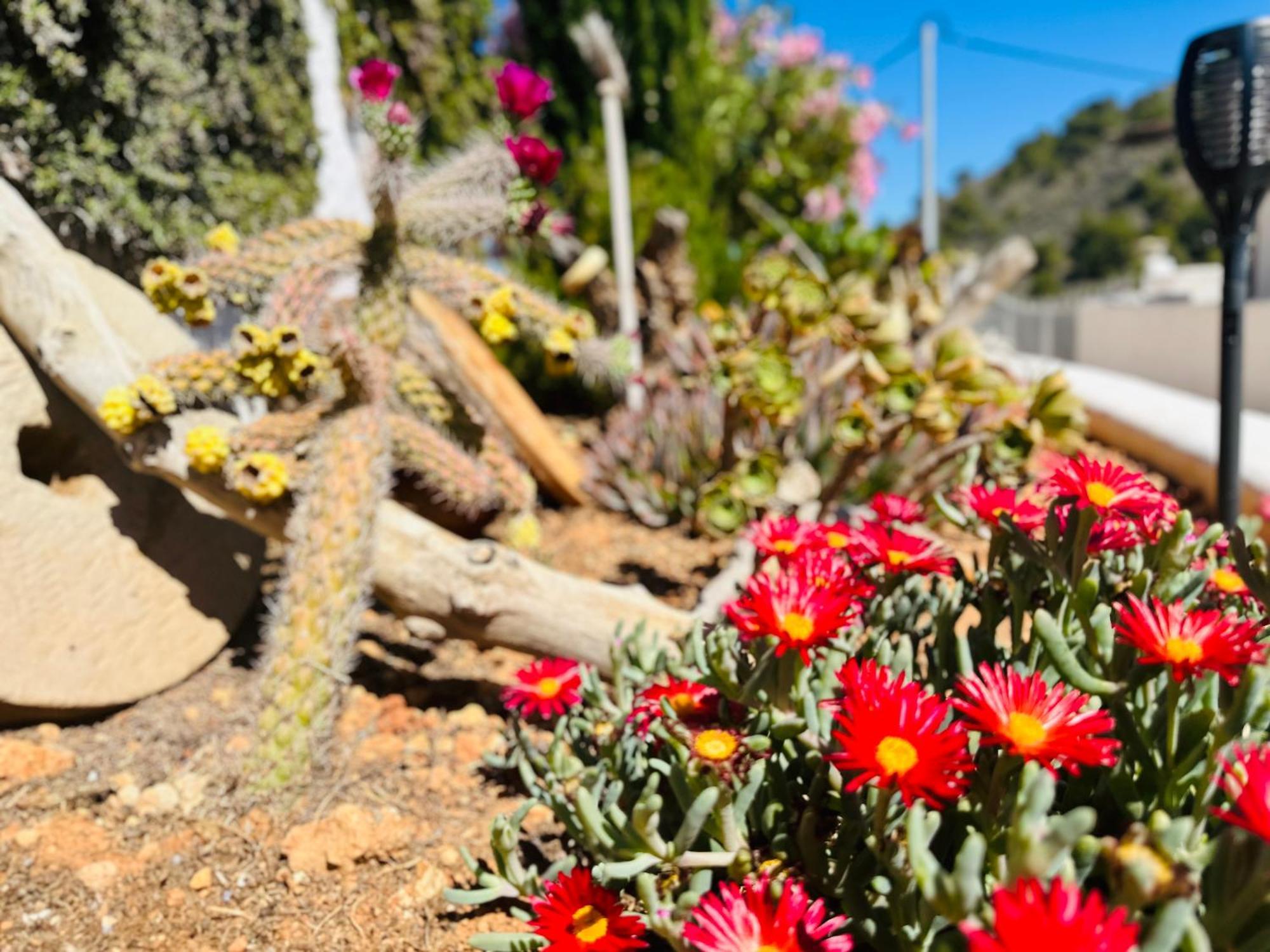Finca Ocha - Calblanque Лос-Белонес Экстерьер фото