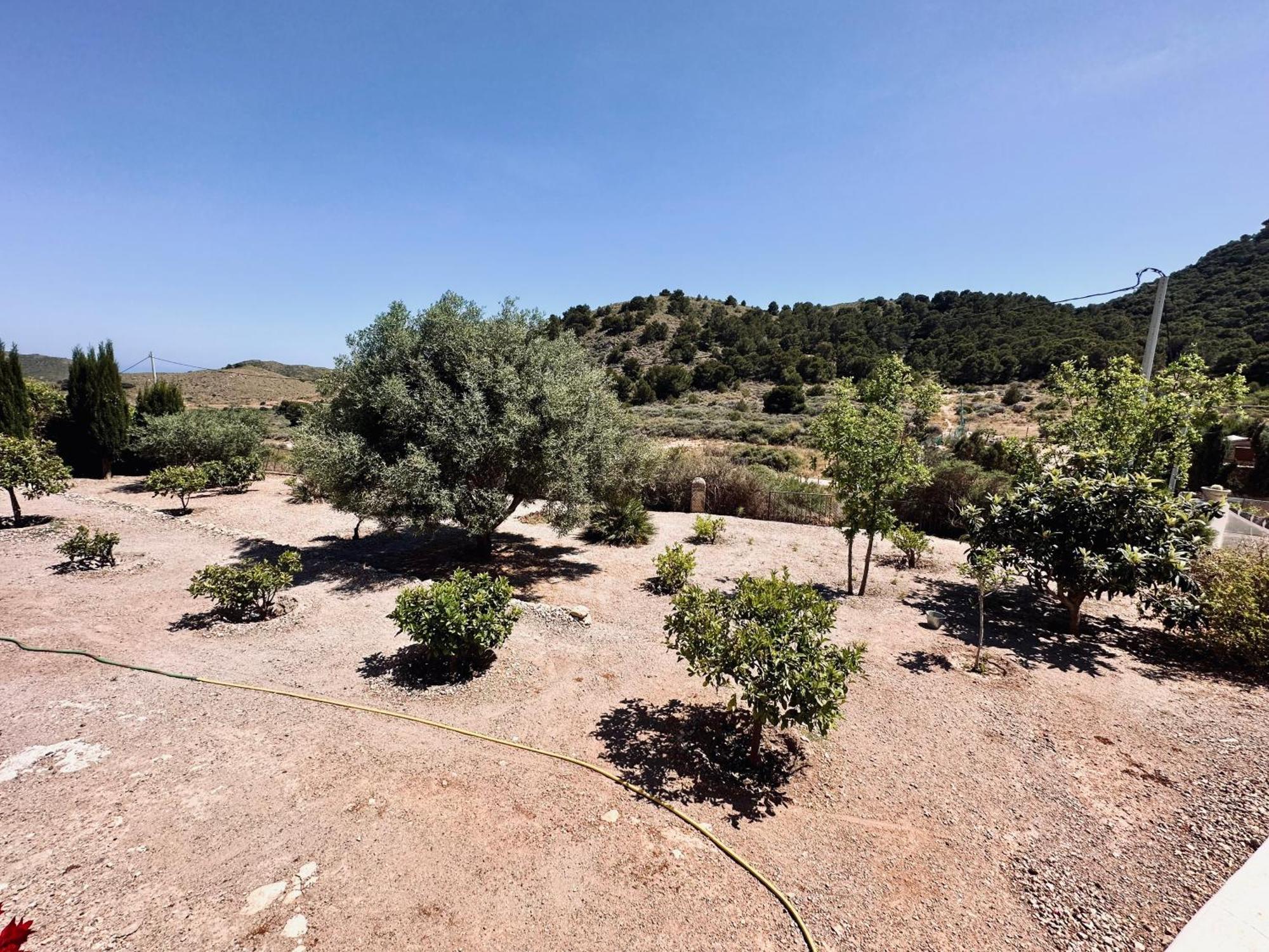 Finca Ocha - Calblanque Лос-Белонес Экстерьер фото
