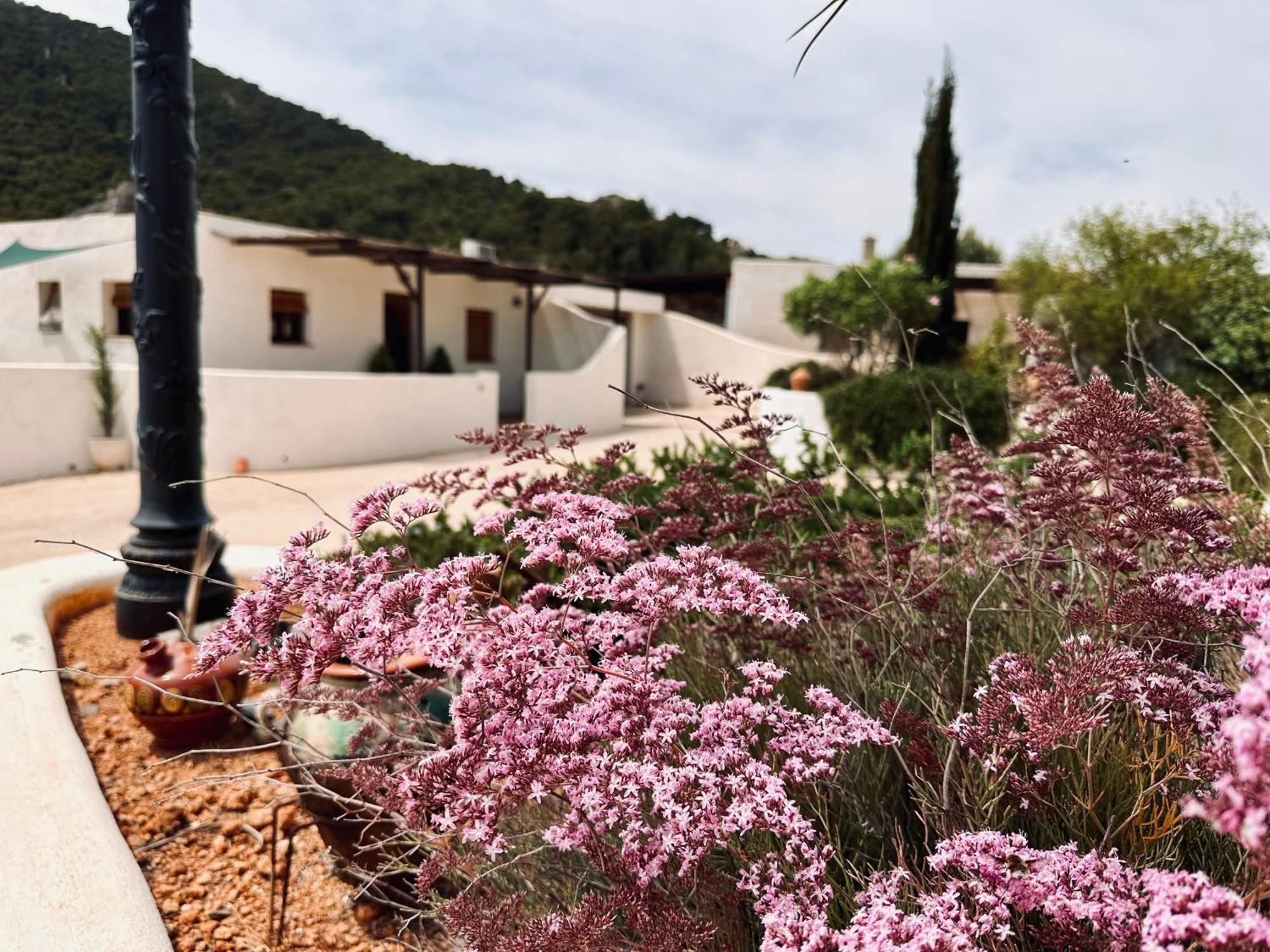 Finca Ocha - Calblanque Лос-Белонес Экстерьер фото