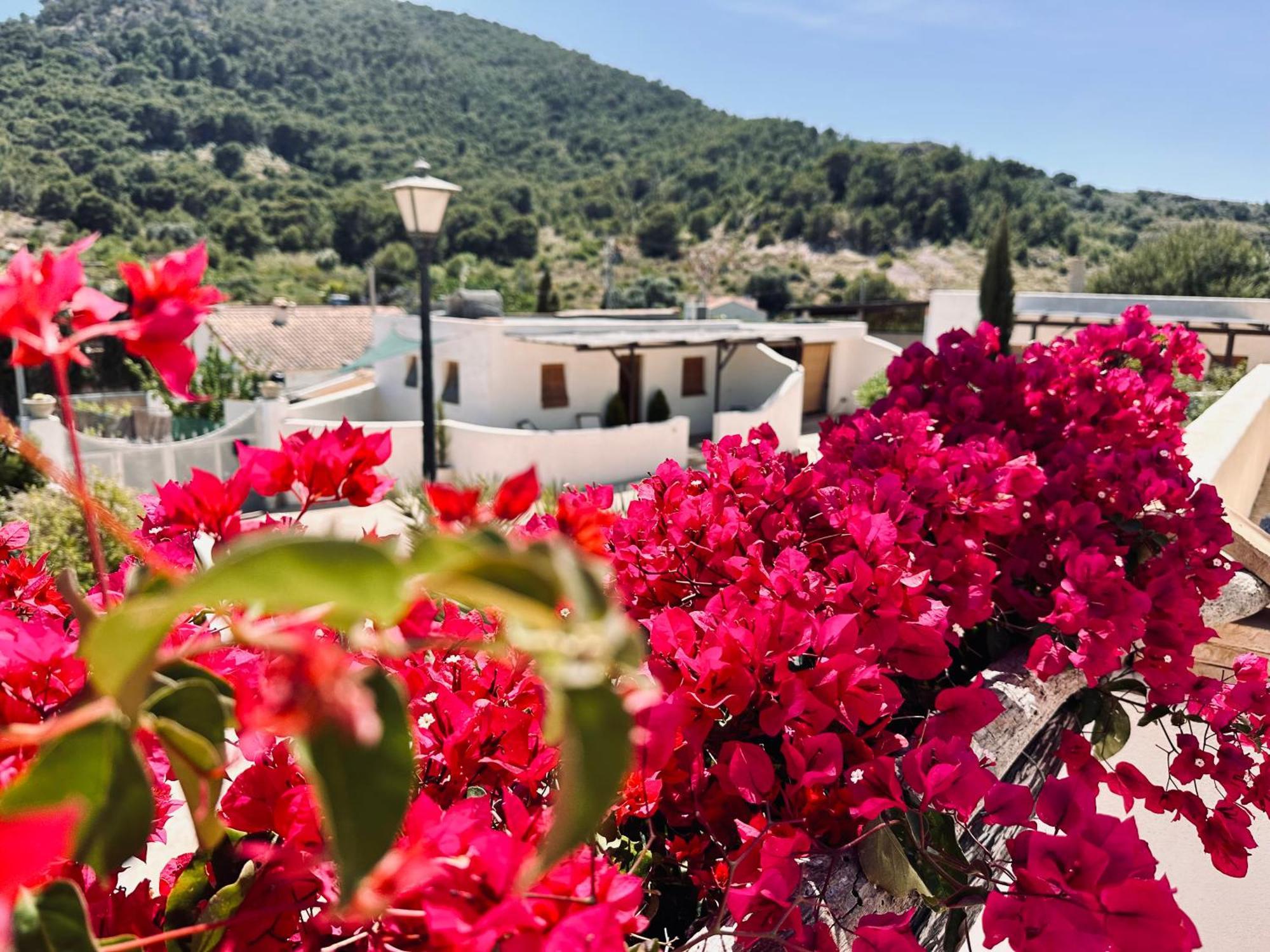 Finca Ocha - Calblanque Лос-Белонес Экстерьер фото